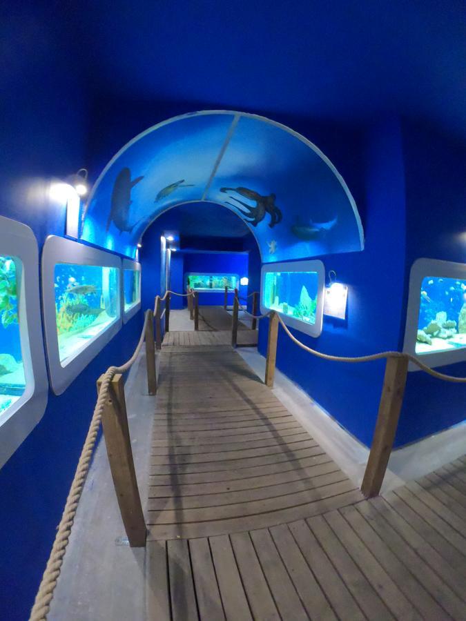 مبيت وإفطار ليبا Dolphin House المظهر الخارجي الصورة