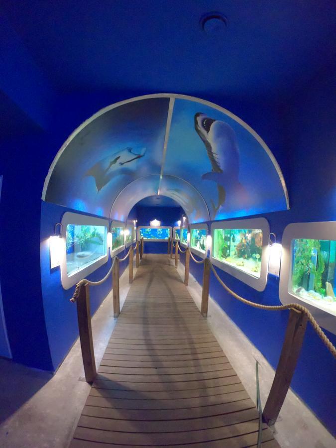 مبيت وإفطار ليبا Dolphin House المظهر الخارجي الصورة