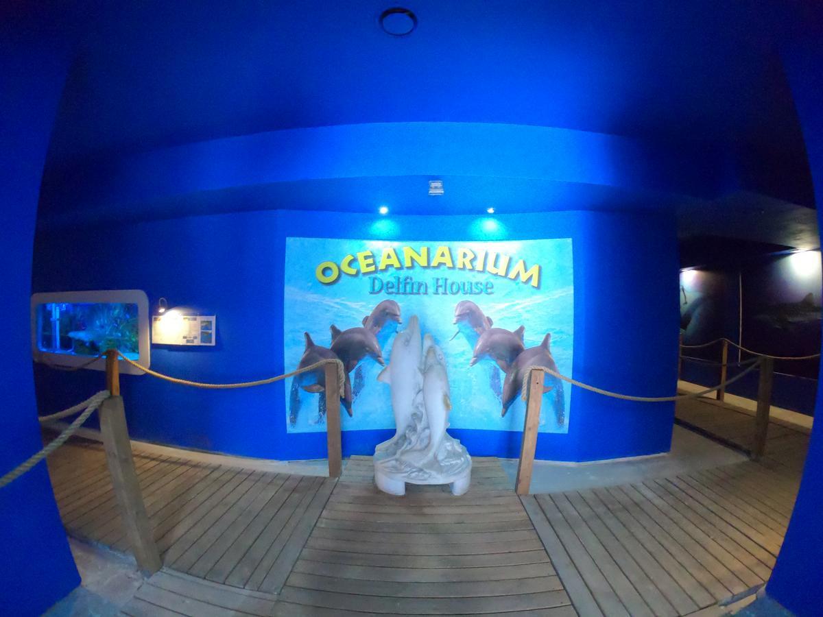 مبيت وإفطار ليبا Dolphin House المظهر الخارجي الصورة